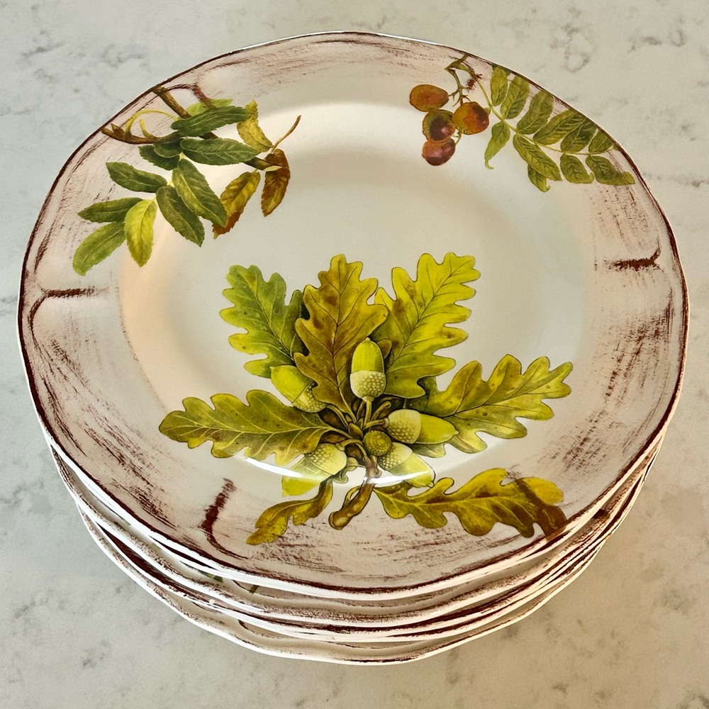 Sur La Table Acorn & Fig Dinner Plates